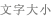 文字大小