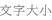 文字大小