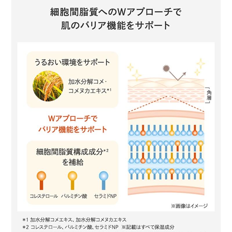 �t�F�C�V�����X�g ���y�A�~���N