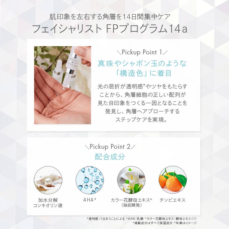 �t�F�C�V�����X�g FP�v���O����14a��3�{���ʁ�