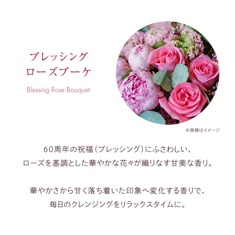 �t�F�C�V�����X�g �g���[�g�����g�}�Z�� �i�u���b�V���O���[�Y�u�[�P�̍���j