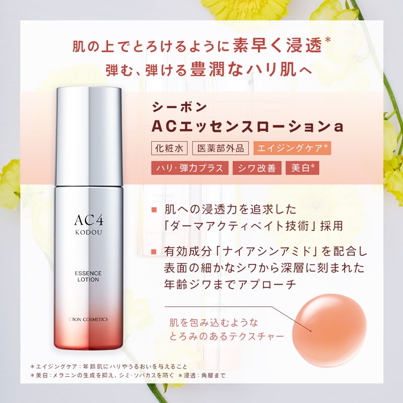 �V�[�{�� �`�b �G�b�Z���X���[�V������