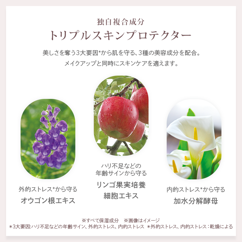 �V�[�{�� �G�g���� �V�[�����X�O���EBB�i1�F���C�g�I�[�N���j