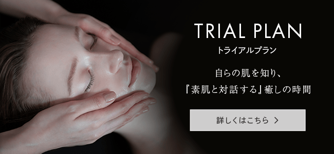 TRIAL PLAN