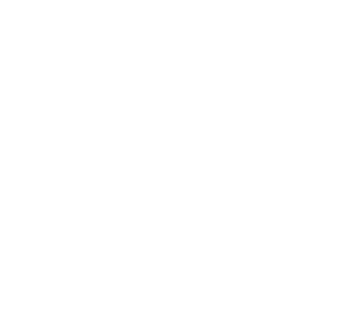 1960s