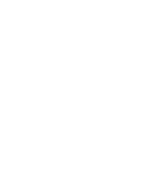 2010