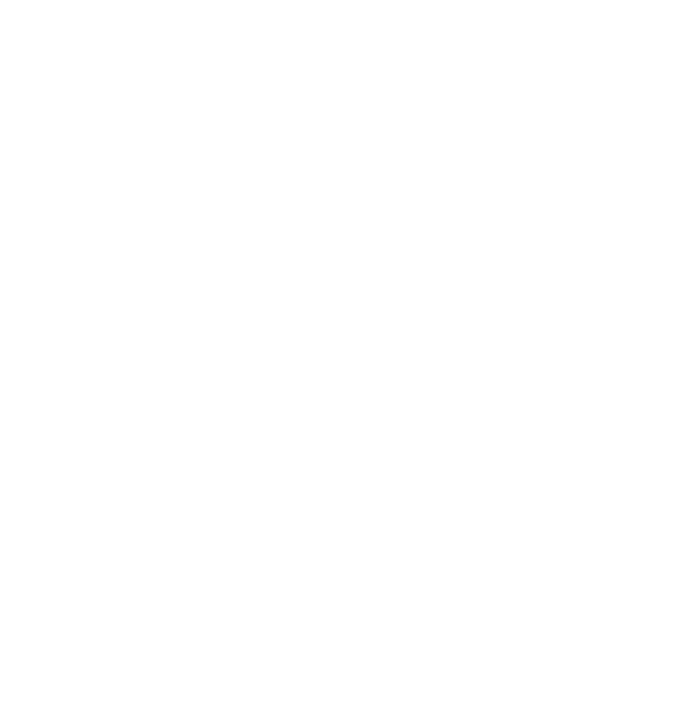2025.1