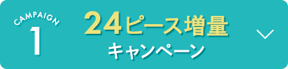 24�s�[�X���� �L�����y�[��