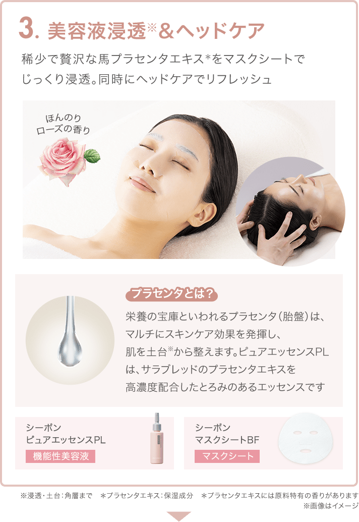 C'ores RAISE│【公式】シーボン（C'BON）ホームケア（化粧品