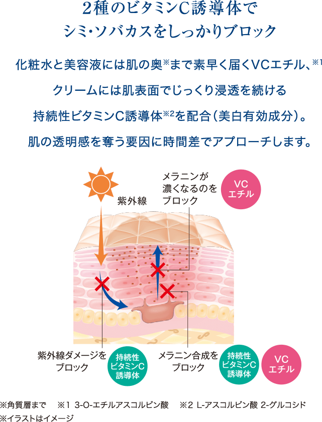Fwセット 公式 シーボン C Bon ホームケア 化粧品 とサロンケア フェイシャルケア で美肌へと導く化粧品メーカー Fwセット 公式 シーボン C Bon ホームケア 化粧品 とサロンケア フェイシャルケア で美肌へと導く化粧品メーカー