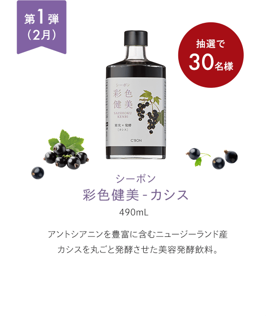 ��1�e �i2���j�V�[�{�� �ʐF����-�J�V�X