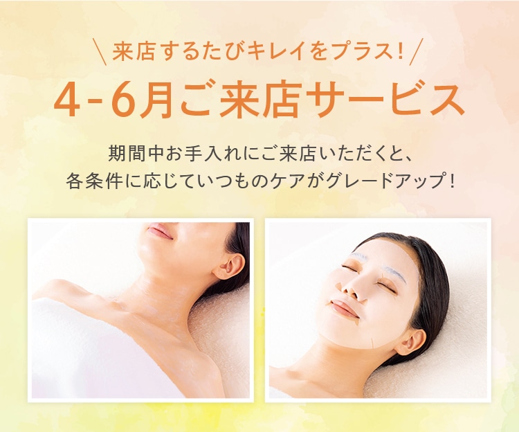 4-6�������X�T�[�r�X