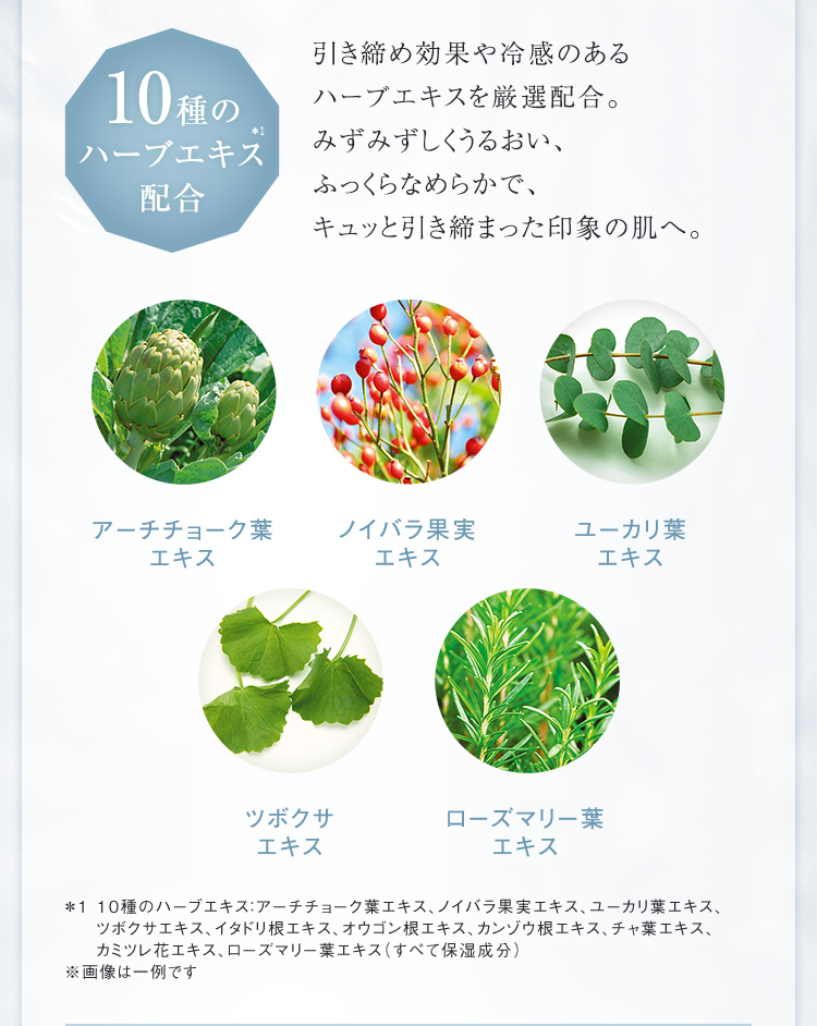 シーボン スムースポアエッセンス MD│【公式】シーボン（C'BON