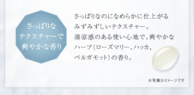 シーボン スムースポアエッセンス MD│【公式】シーボン.(C'BON シーボン スムースポアエッセンス MD│【公式】シーボン.(C'BON