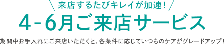 X邽уLCI4-6XT[rX