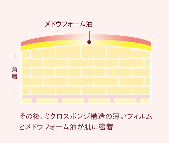 シーボンAC Vリフトセラム│【公式】シーボン（C'BON）ホームケア