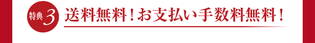 シーボン 赤い女神│【公式】シーボン.（C'BON）ホームケア（化粧品 