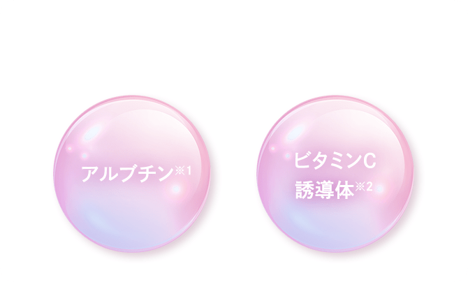 メルリン＊＊ シーボン 酵素洗顔 192ピース＆保湿用パック メルリン様専用＊＊ シーボン 酵素洗顔 192ピース＆保湿用パック