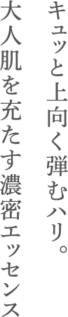 LbƏeރnB l[ZGbZX