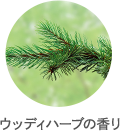 EbfBn[u̍