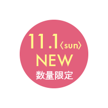 11.1 NEW