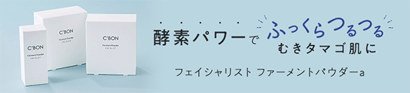 �t�F�C�V�����X�g �t�@�[�����g�p�E�_�[a