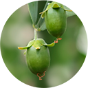 �z�z�o�I�C��