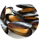 �C�K�C�O���R�[�Q��