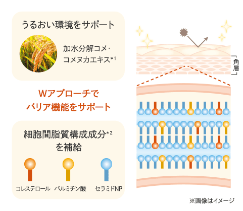 W�A�v���[�`�Ńo���A�@�\���T�|�[�g