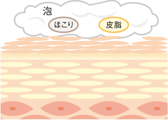 フェイシャリスト ファーメントパウダーa│【公式】シーボン（C'BON