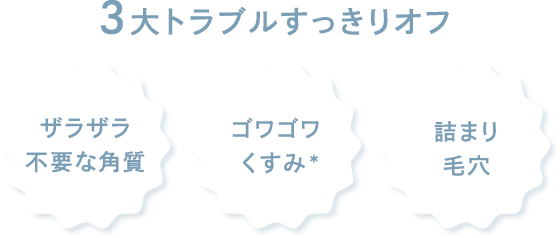 フェイシャリスト ファーメントパウダーa│【公式】シーボン（C'BON