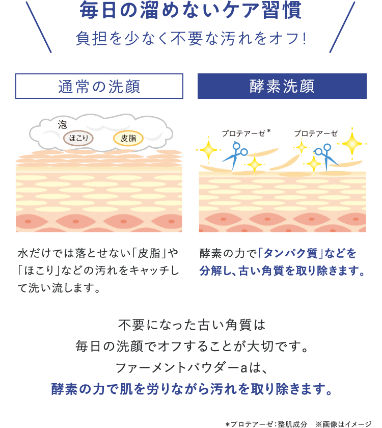 早割クーポン! シーボン酵素パウダー56ピース 洗顔料 - powertee.com 早割クーポン! シーボン酵素パウダー56ピース 洗顔料 - powertee.com