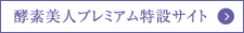 yflv~A݃TCg