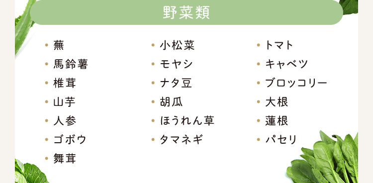 C'BON 酵素美容飲料&化粧品セット シーボン 酵素美人－緑│【公式】シーボン（C'BON）ホームケア