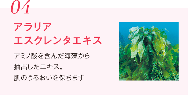 シーボンルミナスシリーズ│【公式】シーボン(C'BON)ホーム シーボンルミナスシリーズ│【公式】シーボン(C'BON)ホーム