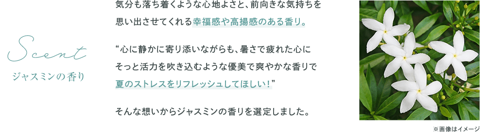 WX~̍