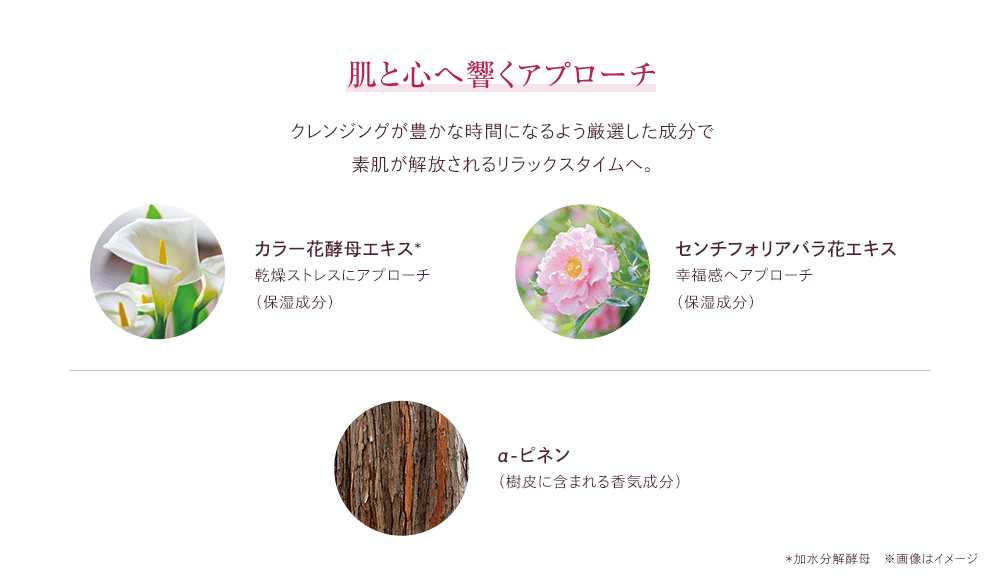 ���ƐS�֋����A�v���[�`