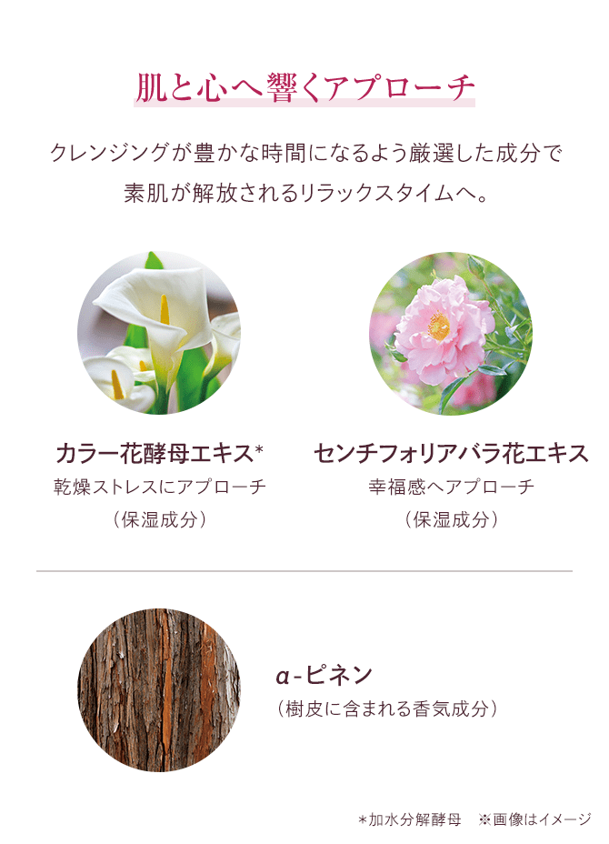 C'BON Treatment Masser ローズ トリートメントマセa（ブレッシングローズブーケの香り）│【公式