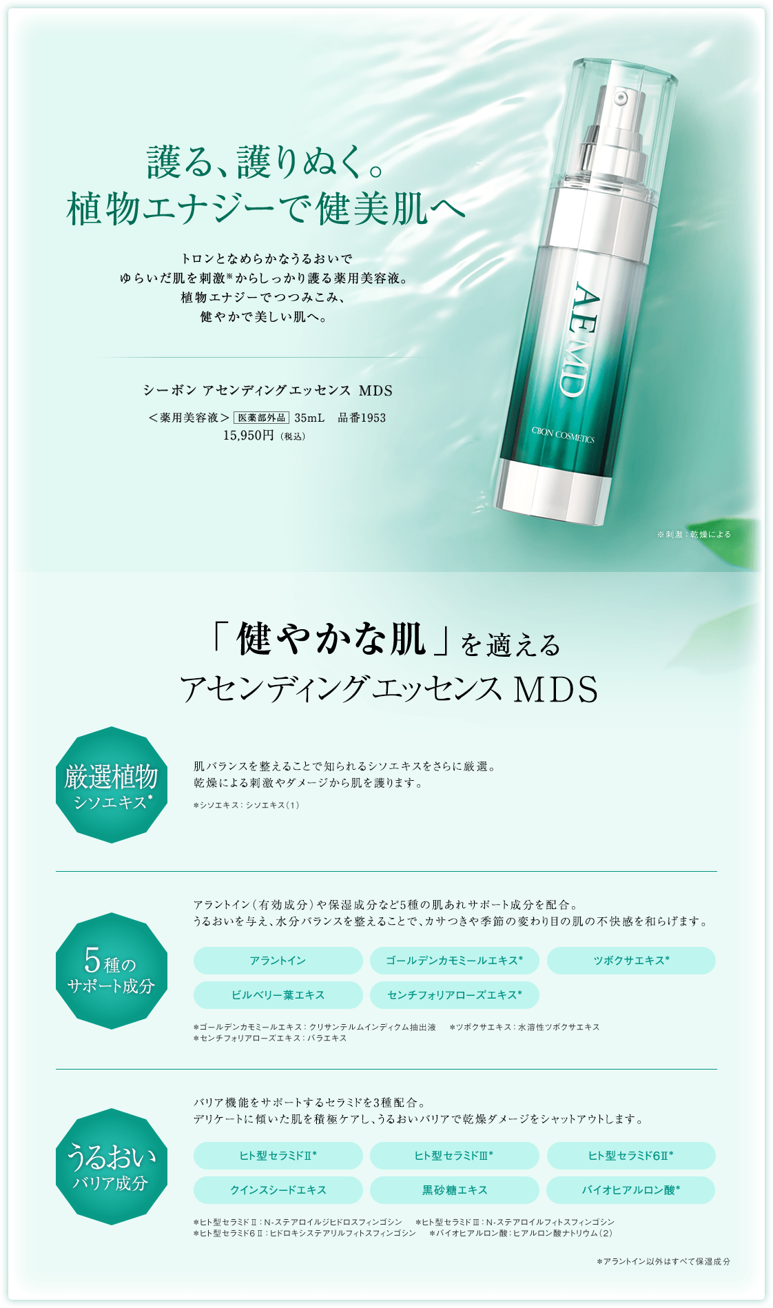 AʂB AGiW[Ō