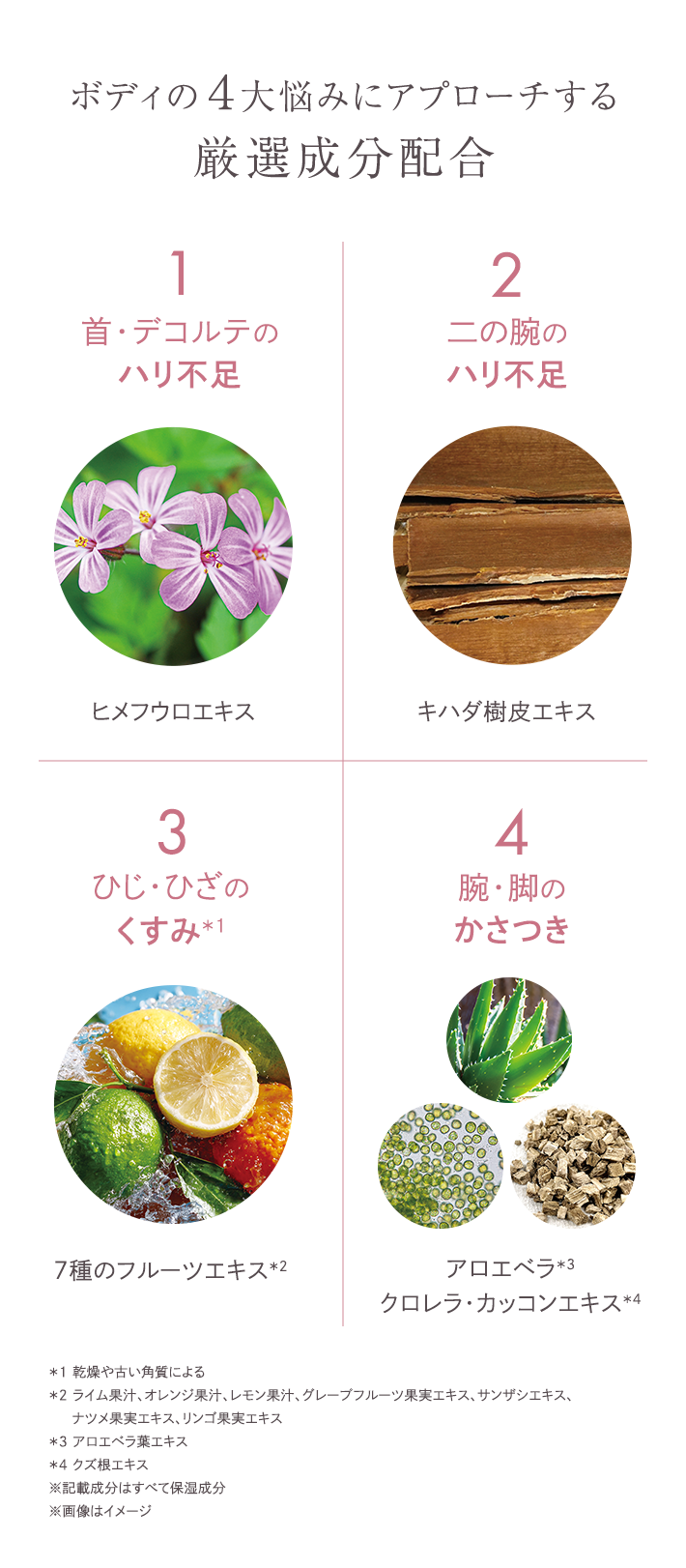 シーボン メルティボディエッセンス│【公式】シーボン（C'BON）ホーム