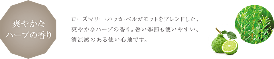u₩ȃn[u̍