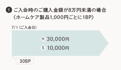 ������̂��w�����z��8���~�����̏ꍇ�q�z�[���P�A���i1,000�~���Ƃ�1BP�r